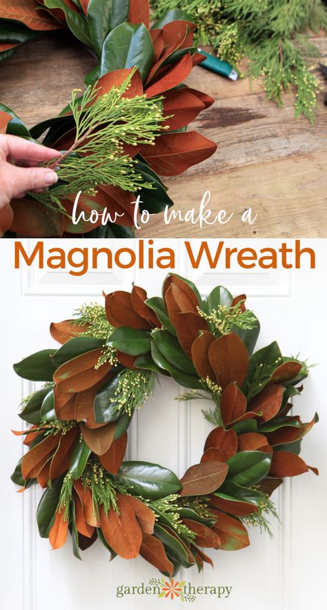 Diy Magnolia Wreath, Christmas Lights On House, Magnolia Leaf Wreath, Make Your Own Wreath, Magnolia Grandiflora, Christmas House Lights, Magnolia Wreath, Magnolia Leaves, Wreath Supplies