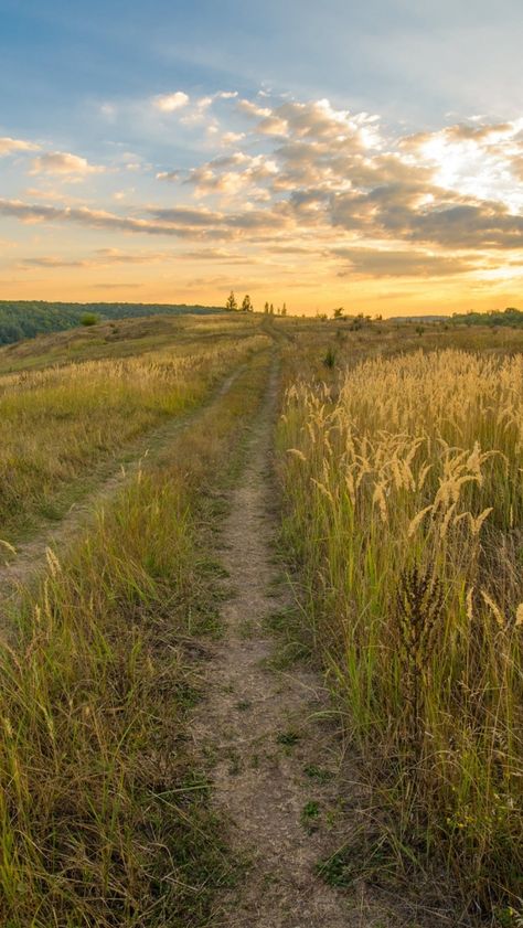 Download free HD wallpaper from above link! #field #grass #path #track #nature #dusk Wallpaper Iphone Lucu, Field Wallpaper, Grassy Field, Shotting Photo, Nature Aesthetic, Pretty Places, Country Life, Farm Life, Pretty Pictures