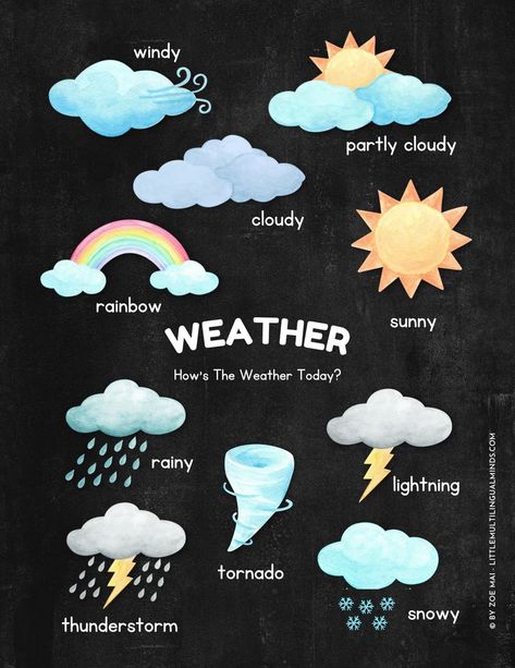 Weather Chart For Preschool, Weather Chart For Kids, Preschool Weather Chart, Chart For Preschool, Weather Chart, Chart For Kids, Dress Design Patterns, Weather Report, Let's Have Fun