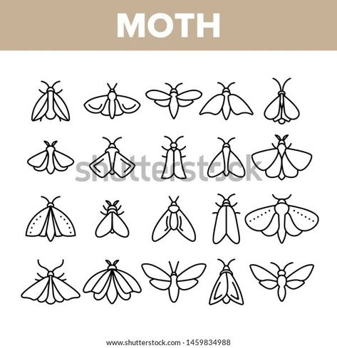 Moth Outline Tattoo, Moth Doodle, Moth Line Art, Sugar Tattoo, Moth Drawing, Moth Tattoo Design, Moth Species, Moth Illustration, Octopus Tattoos