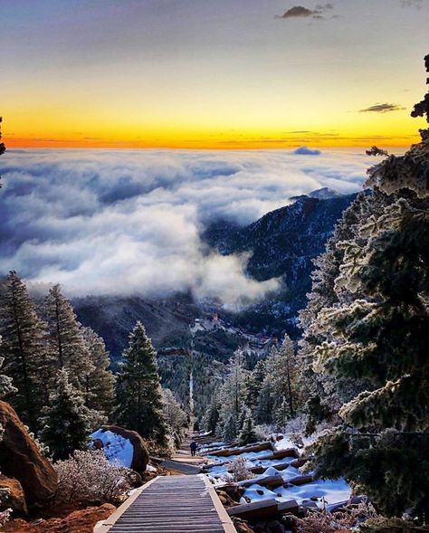 Epic views await at the top of the Incline! Have you made it to the top yet? • ��� Manitou Incline, Manitou Springs Colorado, Manitou Springs, Everest Base Camp Trek, Colorado Adventures, Vacation Tops, Pretty Landscapes, Colorado Usa, Spring Trip