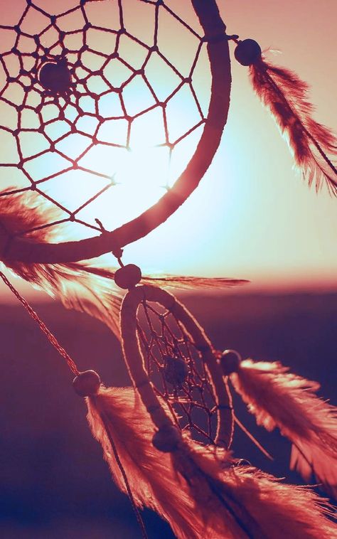 Dream Catcher Photography, Dream Catcher Wallpaper Iphone, Dreamcatcher Wallpaper, Aesthetic Objects, Beautiful Wallpapers For Iphone, Smartphone Wallpaper, Photography Wallpaper, Native American Art, American Indian