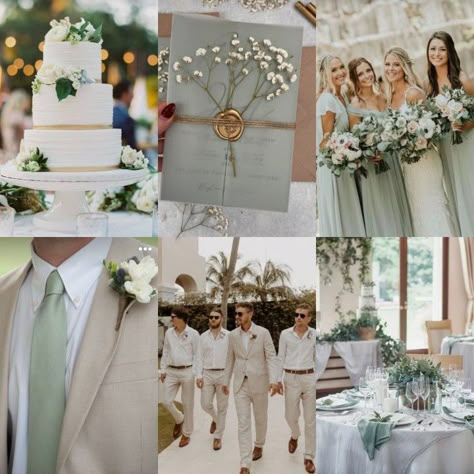 Moss Green And Cream Wedding, Sage Tan Color Palette, Sage Green Cream And Brown Wedding, Light Sage Green Wedding Color Schemes, Sage Green Blush Beige Wedding, Sage Green And Daisy Wedding, Wedding Sage Green And Champagne, Sage Green White And Gold Bouquet, Light Green Wedding Colors