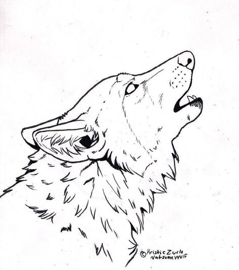 Wolf Howling Drawing, Wolf Face Drawing, Wolf Drawing Easy, Wolf Outline, Wolf Coloring Pages, Black Wolves, Head Sketch, Wolf Sketch, Wolf Colors