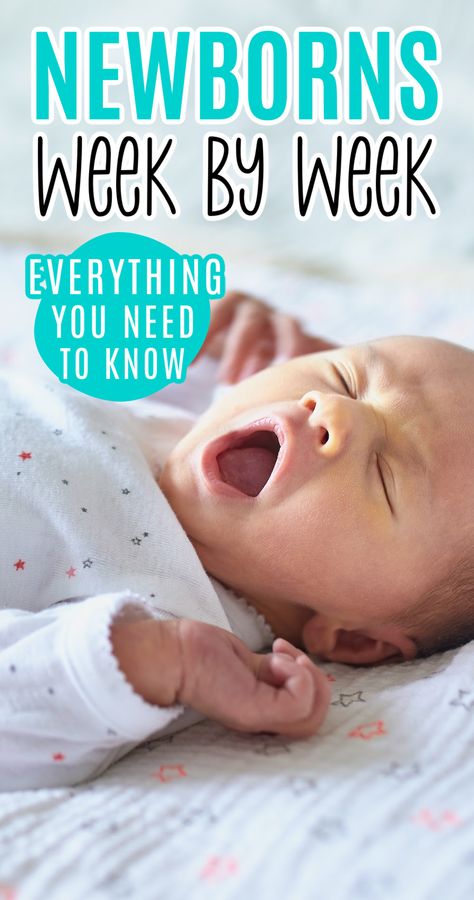 Newborn Ounce Guide, How Long Do Newborns Sleep, Newborn 1 Week Photo Ideas, Newborn Week By Week Development, First Two Weeks With Newborn, Newborn Activities By Week, Newborn Must Knows, Newborn Baby Sleep Schedule, Newborn Milestones Weekly