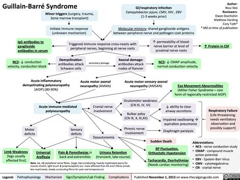 Guillain Barre, Guillain Barre Syndrome, Nursing School Survival, Respiratory Therapy, Bts Song Lyrics, School Survival, Nursing Study, Neurological Disorders, Nursing Notes