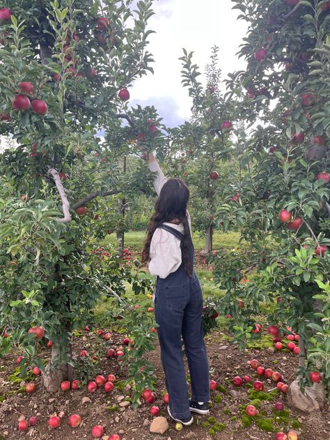 Overall Outfit Fall, Apple Picking Pictures, Apple Orchard Pictures, Apple Picking Photos, Overalls Aesthetic, Apple Picking Fall, Apple Picking Outfit, Outfit Modest, Apple Farm