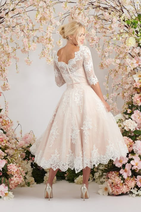 Elegant blush ballerina length wedding dress with three quarter sleeves Modern Tea Length Wedding Dress, Vintage Wedding Dresses Plus Size, Wedding Dresses Midi Length, Tea Length Bridal Dresses, Older Bride Wedding Dress Over 60, Vintage Midi Wedding Dress, Blush Wedding Dress With Sleeves, Bridal Arches, 2nd Wedding Dress Over 40