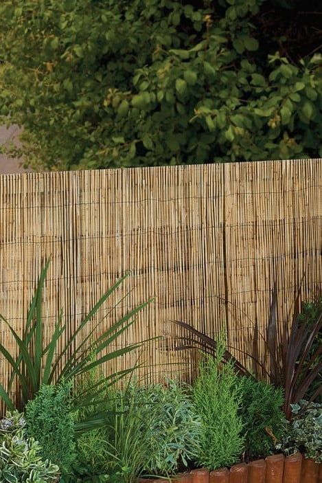 Garden With Bamboo Fence, Bamboo Wall Garden, Reed Fencing Ideas, Bamboo Screen Garden, Bamboo Garden Fence, Natural Fencing, Bamboo Fence Ideas, Bamboo Screening Fence, Rustic Fences