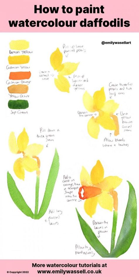 Daffodil Watercolour Painting, How To Paint A Daffodil, How To Paint Daffodils, Watercolor Daffodils Tutorial, Colourful Watercolour Painting, Watercolour How To, Watercolour Inspiration Beginner, Easter Watercolor Paintings Easy, Watercolour Flowers Tutorial