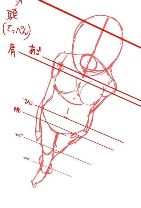 Perspective Sketch, Perspective Drawing Lessons, Drawing Body Poses, Anatomy Tutorial, Body Drawing Tutorial, Body Reference Drawing, Perspective Art, 인물 드로잉, Perspective Drawing