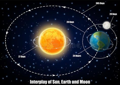 Interplay of Sun, Earth and Moon, vector educational poster royalty free illustration Physics Mechanics, Earth Sun And Moon, Earth Gravity, Science Models, Moon Orbit, Astronomy Facts, Astronomy Science, Moon Vector, Geography Map