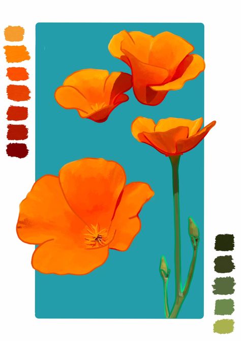 California Poppy Drawing, Poppies Illustration, California State Flower, California Poppy Art, Poppy Flower Painting, Poppy Decor, Digital Sketchbook, California Wildflowers, Poppy Drawing