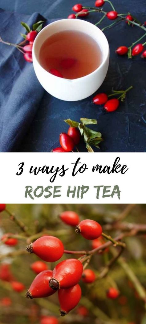 how to make rosehip tea, rose hip tea three ways Rose Hip Tea Recipes, Rosehip Tea Recipes, Rosehip Tea Benefits, Mountain Rose Herbs Recipes, Rose Hip Tea, Rosehip Recipes, Mixology Recipes, Rosehip Tea, Berry Recipes