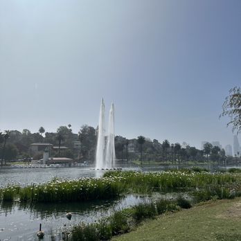 Echo Park Lake - Los Angeles, CA Domestic Birds, Echo Park Lake, Ducks And Geese, City Festival, Restaurant Delivery, Boat House, Urban Park, Gorgeous Flowers, Pacific Rim