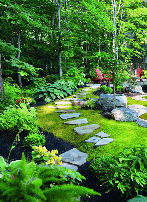 Start Your Own Moss Lawn - Laidback Gardener Planting Zones, Moss Lawn, Lawn Roller, Shady Garden, Tiered Garden, Moss Garden, Ground Cover Plants, Side Yard, Lawn Decor