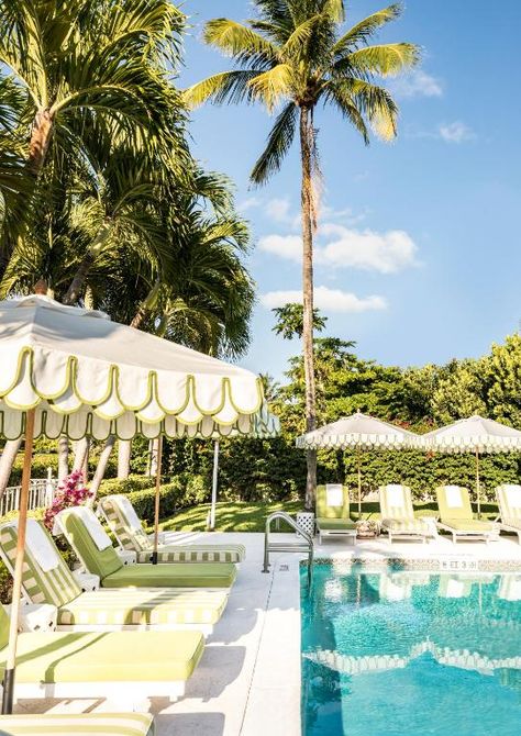 The Colony Hotel, Palm Beach – Updated 2023 Prices Colorful Boutique, Colony Hotel, The Colony Hotel, Katie Kime, Shower Tub Combination, Beach Icon, Palm Beach Wedding, Queen Room, The Colony