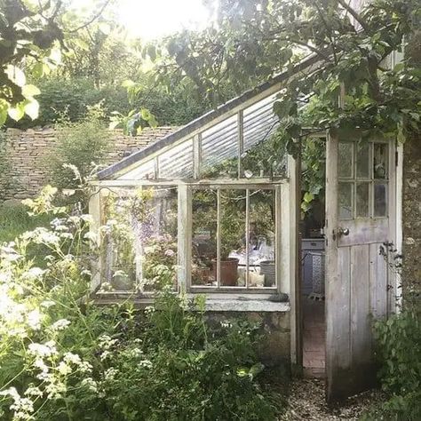 DIY Lean to Greenhouse: Kits on How to Build a Solarium Yourself! Serre Diy, Planning Garden, Lean To Greenhouse, Gardening Landscaping, Gardening Design, Small Greenhouse, Landscaping Garden, Greenhouse Plans, Garden Idea