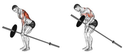 Back And Biceps: The Best Workout Combination - GymGuider.com Bruce Lee Abs Workout, Dumbbell Back Workout, Back And Bicep Workout, Traps Workout, T Bar Row, Cable Workout, Monday Workout, Body Build, Best Workout Plan