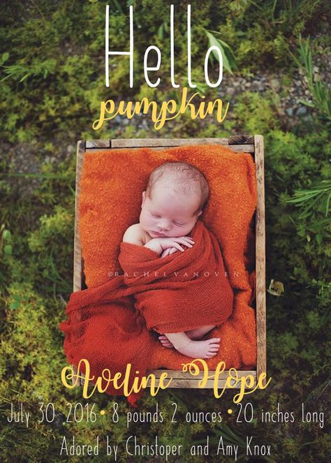 Rachel Vanoven Photography, Outdoor Newborn Photography, Leaf Photo, Newborn Photos Boy, Foto Newborn, Newborn Photography Boy, Newborn Photography Poses, Newborn Baby Photoshoot, Outdoor Baby