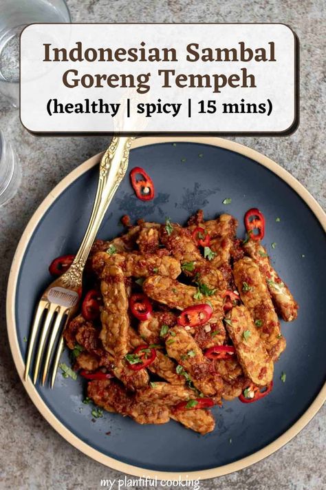 Indonesian Sambal Goreng Tempeh Tempeh Recipes Indonesian, Vegan Indonesian Food, Authentic Indonesian Food, Indonesian Food Vegetarian, Vegan Indonesian Recipes, Indonesian Appetizer, Balinese Recipes, Tempeh Recipes Vegan, Balinese Recipe