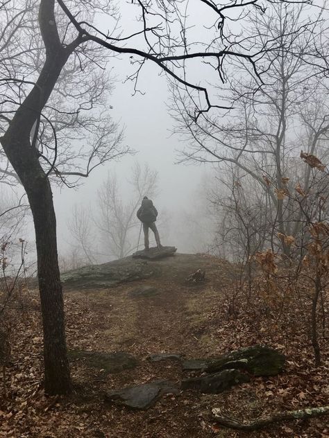 #Hiking in the mud and #rain https://thetrek.co/appalachian-trail/hiking-in-the-mud-and-rain/ coldcamping #moss globetrotter Decisions Aesthetic, Appalachian Gothic, Hiking In The Rain, Rose Taylor, Visual Essay, Pretty Vibes, Day Hiking, I Love Rain, Trail Hiking