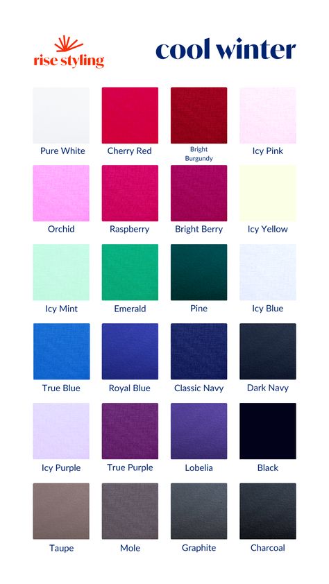 Color Palette Cool Winter, Cool Winter Pallete, True Winter Clothes, Hoc Winter Outfits, Winter Color Swatches, Deep Winter Outfits For Summer, True Winter Color Palette Outfits, Winter Color Palette Clothes, Cold Winter Color Palette