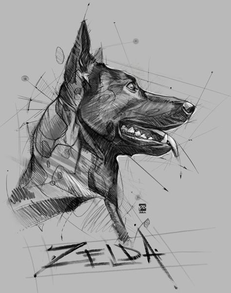 Belgian Dog, Malinois Dog, Animal Drawings Sketches, Desenho Tattoo, Dog Tattoo, Cool Sketches, Animal Sketches, Arte Animal, Dog Tattoos