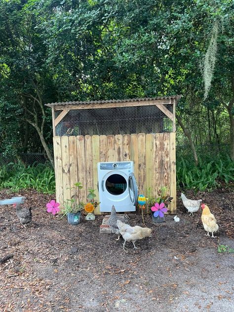 Cute coop for chickens made with recycled materials Chicken Coop, Recycled Materials, Coop, Recycling, Chicken