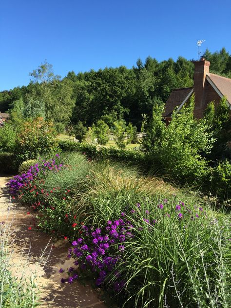 How to Design a South-facing Garden | Houzz UK South Facing Garden Ideas Uk, South Facing Garden Ideas, Garden Ideas Uk, Urban Courtyards, Orchard Garden, South Facing Garden, Mediterranean Plants, Front Garden Design, Timber Structure