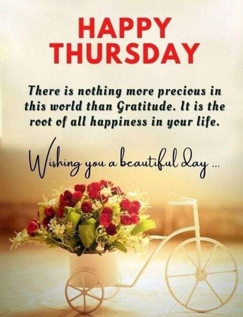 Good Morning Thursday Blessings, Morning Thursday Images, Happy Thursday Morning, Good Morning Thursday Images, Blessed Morning Quotes, Happy Thursday Images, Thursday Images, Thursday Blessings, Good Morning Happy Thursday