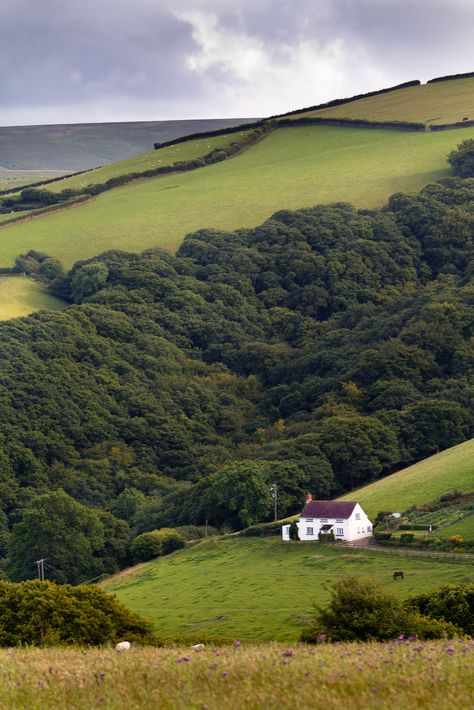 Britain Landscape, Hiking Views, Nature Countryside, Travel Austria, England Countryside, European Street, Madding Crowd, Devon Uk, Dream Cottage