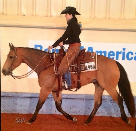 Ranch horse pleasure Reining Outfits, Ranch Horse Show, Ranch Versatility, Western Horse Riding, Horse Poses, Ranch Horses, Horse Herd, Western Equestrian, Ranch Riding