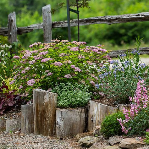 Rustic Garden Edging Ideas, Log Driveway Edging, Curved Border Edging Ideas, Tree Trunk Garden Edging, Wood Edging Landscape Garden Borders, Wooden Edging Garden, Wood Log Garden Edging, Using Logs As Garden Edging, Log Edging Ideas