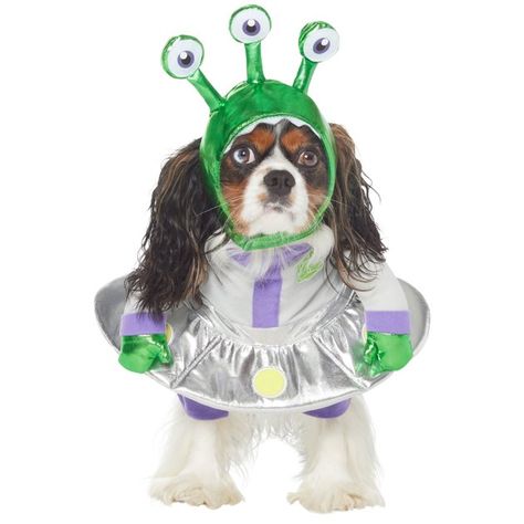 Dog Alien Costume, Alien Dog Costume, Alien Dog, Alien Halloween Costume, Freeze Dried Dog Treats, Space Costumes, Alien Halloween, Bee Dog, Dog Tutu