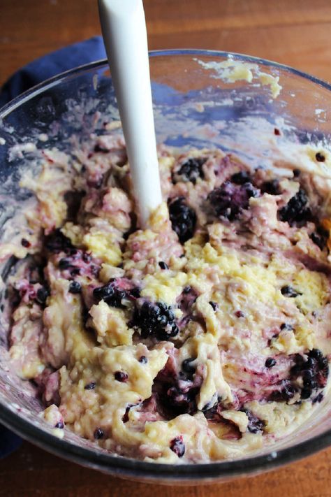 Jumbo Blackberry Muffins, Blackberry Oatmeal Muffins, Blackberry Muffins Recipes, Blackberry Muffins Easy, Jumbo Muffin Recipes, Blackberry Muffin Recipe, Blackberry Oatmeal, Huckleberry Recipes, Healthy Sour Cream