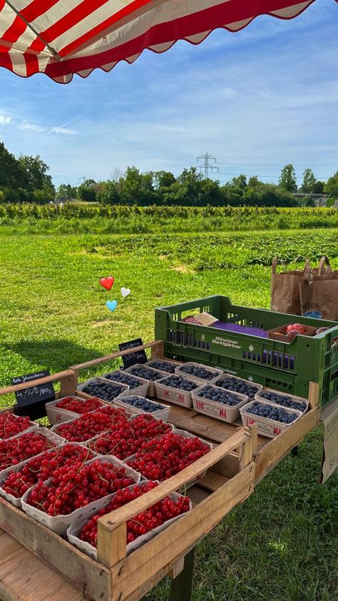 Living On A Farm Aesthetic, Owning A Farm Aesthetic, Rich Farm Life Aesthetic, Summer On The Farm, Farm On The Beach, Farmstand Aesthetic, Country Farm Aesthetic, Farming Aesthetic Country Living, Strawberry Farm Aesthetic