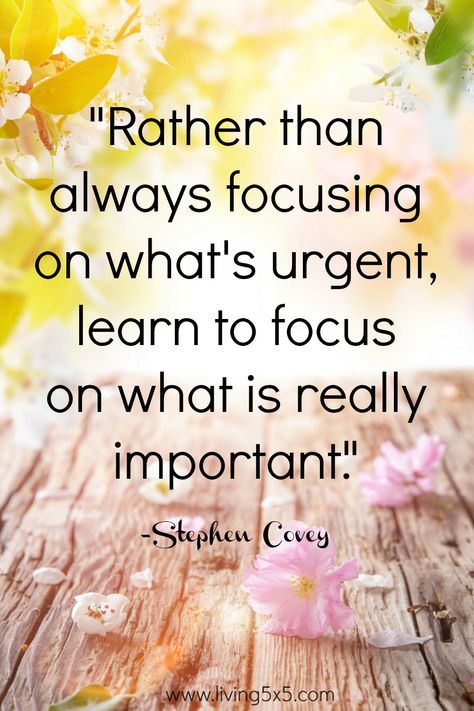 Inspirational Quote of the Week - Rather than always focusing on what's urgent, learn to focus on what is really important. -Stephen Covey Covey Quotes, Stephen Covey Quotes, Good Quotes, Stephen Covey, Quote Of The Week, Motiverende Quotes, Amy Poehler, Quotes Thoughts, Trendy Quotes