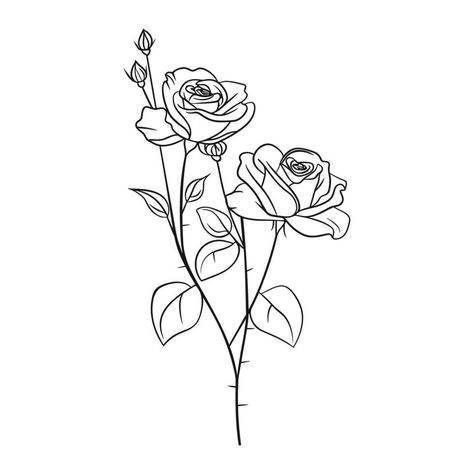 Sketch of blossom roses on stem with leaves. Vintage line drawing. Flowers in engraving style. Hand drawn realistic open rosebuds Flower Stem Drawing, Rose Bush Drawing, Rose Bouquet Drawing, Rose Line Drawing, Line Drawing Flowers, Bush Drawing, Heritage Quilt, Rose Outline, Rose Sketch