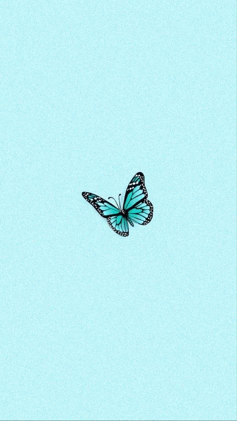 Turquoise Aesthetic Butterfly, Blue Tosca Aesthetic, Azul Turquesa Wallpaper, Wallpaper Turquesa, Teal Highlights, Wallpaper Verde, Turquoise Aesthetic, Swag Wallpaper, Baby Blue Wallpaper