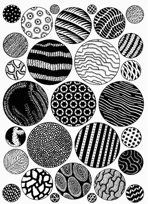 A series of animated, rotating circles fills a white page. Each circle is filled with a different black and white geometric or organic pattern. Plant Under Microscope, Organic Patterns In Nature, Bacteria Under Microscope, Turing Pattern, Structure Of Skin, Insect Project, How To Draw Insects, Biology Tattoo, Microscopic Cells