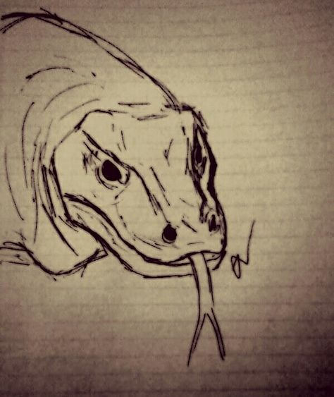 The komodo dragon Komodo Dragon Sketch, Komodo Dragon Drawing, Komodo Dragon Art, Komodo Dragon Tattoo, Comodo Dragon, Nature Sketches, Animal Drawings Sketches, Nature Sketch, Dragon Sketch