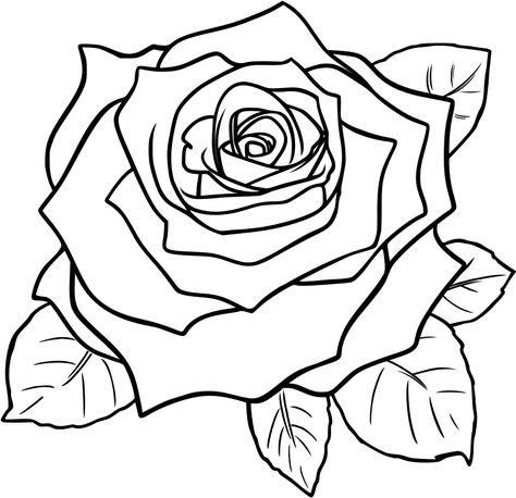 Rosé Cartoon, Cartoon Rose, Rose Outline, Rose Coloring Pages, Rose Clipart, Simple Rose, Rose Images, Rose Drawing, Roses Drawing