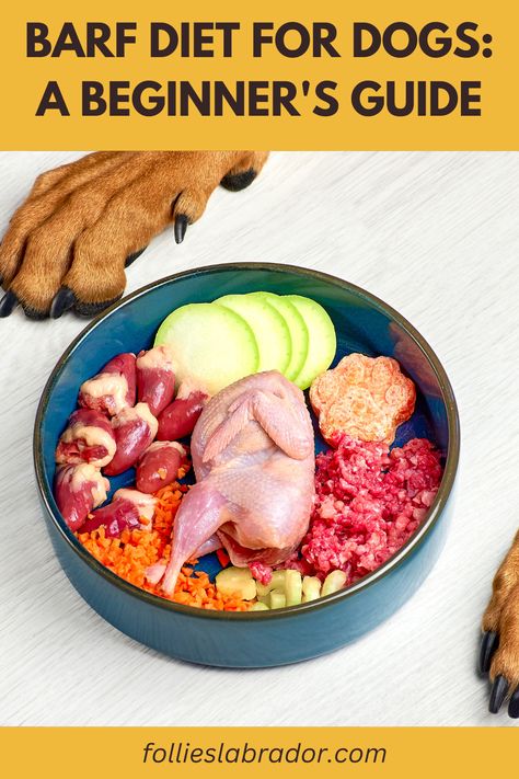 New to BARF diets for dogs? This beginner's guide will walk you through everything you need to know to get started with raw feeding for your pet. #DogOwners #BARFDiet #RawFeedingGuide #HealthyDogs Barf Diet For Dogs, Diet For Dogs, Raw Dog Food Diet, Food Handling, Dog Food Brands, Natural Dog Food, Raw Dog Food Recipes, Raw Diet, Dog Diet