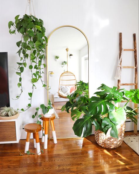 Floor Mirror Living Room, Floor Mirror Decor, Galvanized Pumpkin, Indoor Floor Plants, Living Room Plants Decor, Tall Indoor Plants, Mirror Decor Living Room, Living Room Plants, Floor Plants