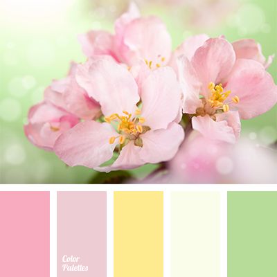 Spring colors inspiration. Flowers, sunny, warm and dreamy.