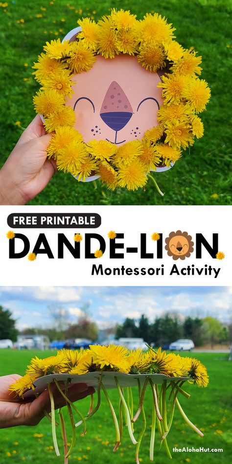 Fun todder and preschool activity with your kids that helps them practice fine motor skills. Take your kids out for a nature walk and pick dandelions to complete the lions mane. Great activity for prechool kids who want to go to the park for a fieldtrip. The dande-lion print is free to download. Add it to your montesorri lesson plans and let kids be creative with this DIY craft activity. #dandelion #naturewalk #natureactivity #preschoolactivity #toddleractivity #montessori #freeprintables Montessori Activity, Aktiviti Kanak-kanak, Nature Craft, Daycare Activities, Aktivitas Montessori, Toddler Art, Spring Activities, Toddler Learning Activities, Toddler Fun