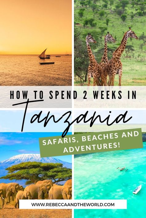 Looking for a unique Tanzania itinerary that mixes adventure, safaris, culture and beaches? Then this 2 weeks in Tanzania itinerary is right for you! | #Tanzania #EastAfrica #AfricaTravel #safari #TanzaniaItinerary #TanzaniaTravel #Zanzibar #Serengeti Tanzania Itinerary, Zanzibar Itinerary, Africa Itinerary, Zanzibar Travel, Travel Alaska, Tanzania Travel, Best Honeymoon Destinations, Travel Secrets, Tanzania Safari