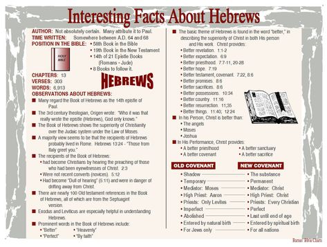 Interesting Facts about Hebrews Hebrews Bible Study Notes, Hebrews Bible Study, Biblical Timeline, Christian Logo, Bible Summary, Bible Project, Bible Charts, Bible Overview, Bible Study Materials