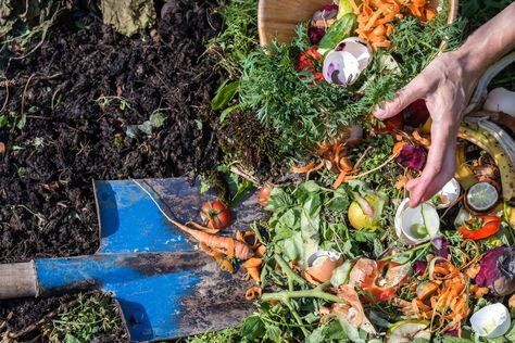 How To Start Composting, Composting 101, Rusty Garden, Urban Farmer, Summer Toe Nails, Yard Waste, Food Scraps, Clay Soil, Dry Leaf